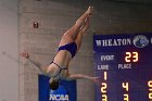 Women's Diving  Wheaton College Women’s Diving vs Mount Holyoke College. - Photo by Keith Nordstrom : Wheaton, Swimming & Diving